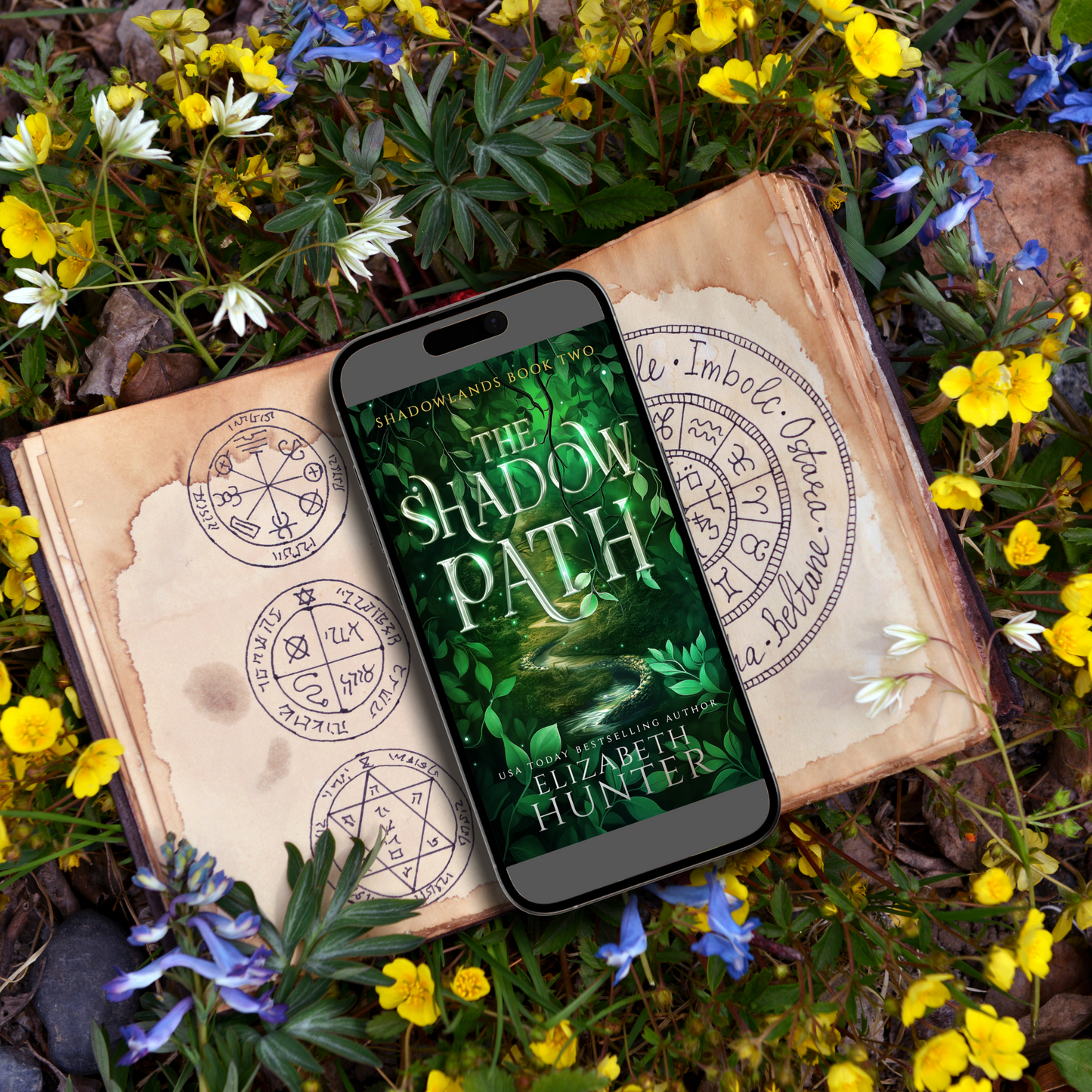 The Shadow Path Audiobook (Shadowlands Book 2)