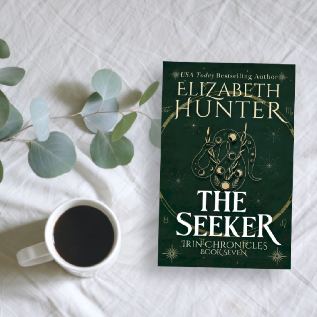 The Seeker: Irin Chronicles Book Seven