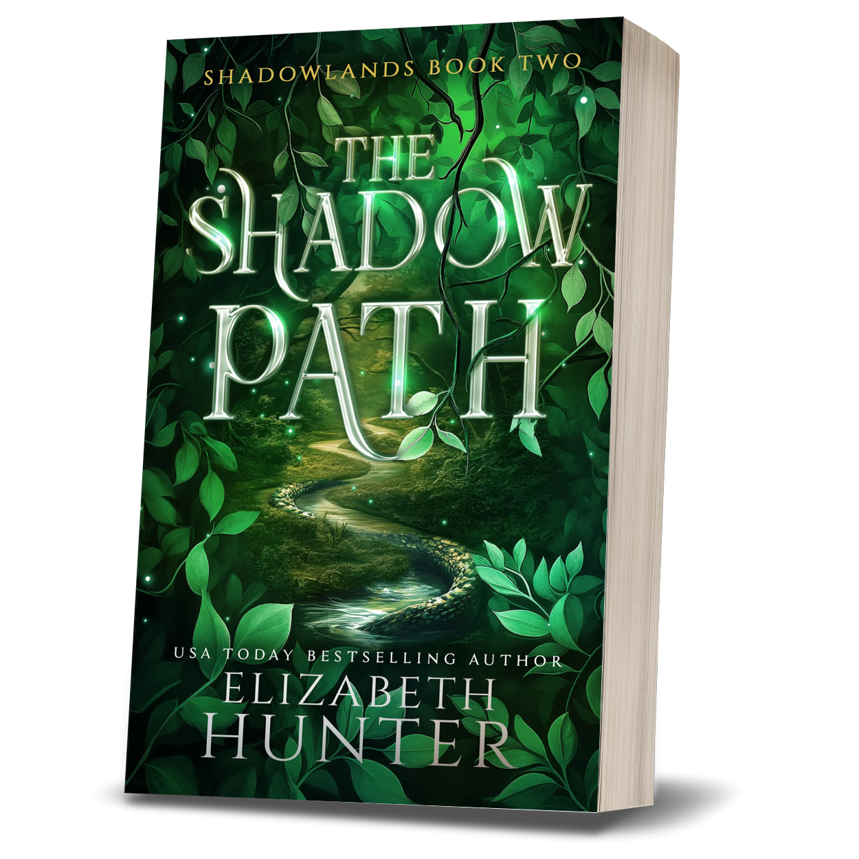 The Shadow Path: Shadowlands Book 2