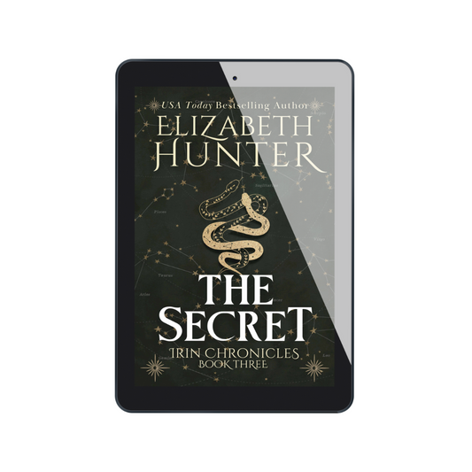 The Secret (Irin Chronicles book 3) e-book