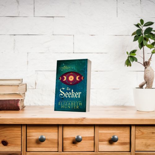 The Seeker: Irin Chronicles Book Seven