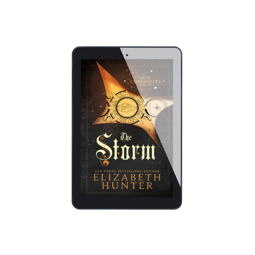 The Storm (Irin Chronicles book 6)