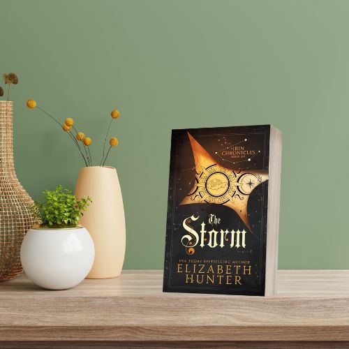 The Storm: Irin Chronicles Book Six